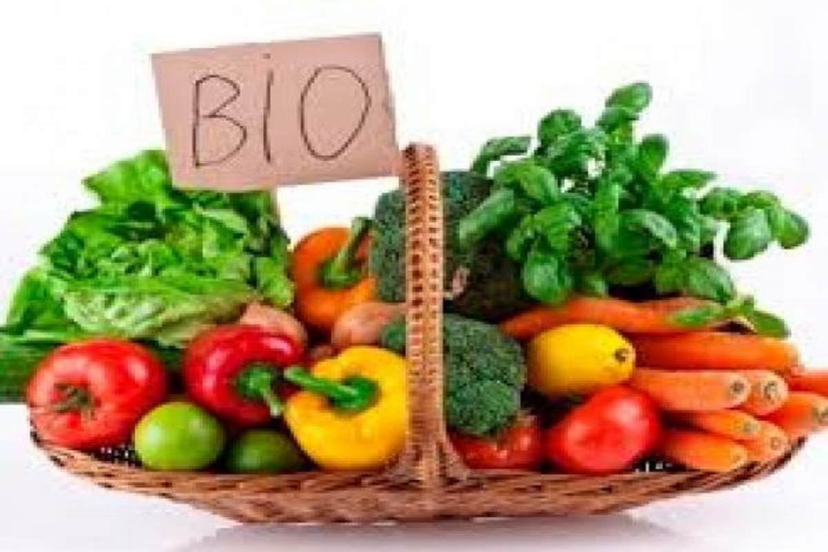 1744622115417-ccecc7fab3e1