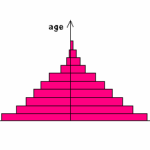 Population_pyramid_1_(triangle)