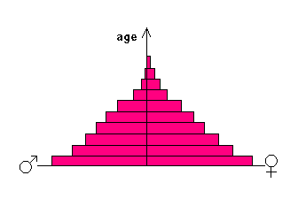Population_pyramid_1_(triangle)