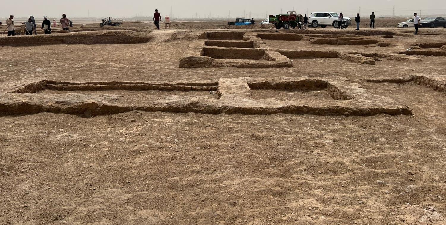 vis_0505202519454443