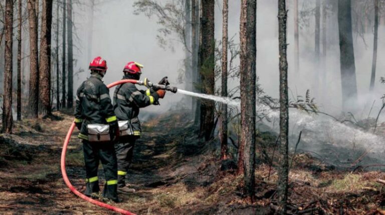 Wildfire