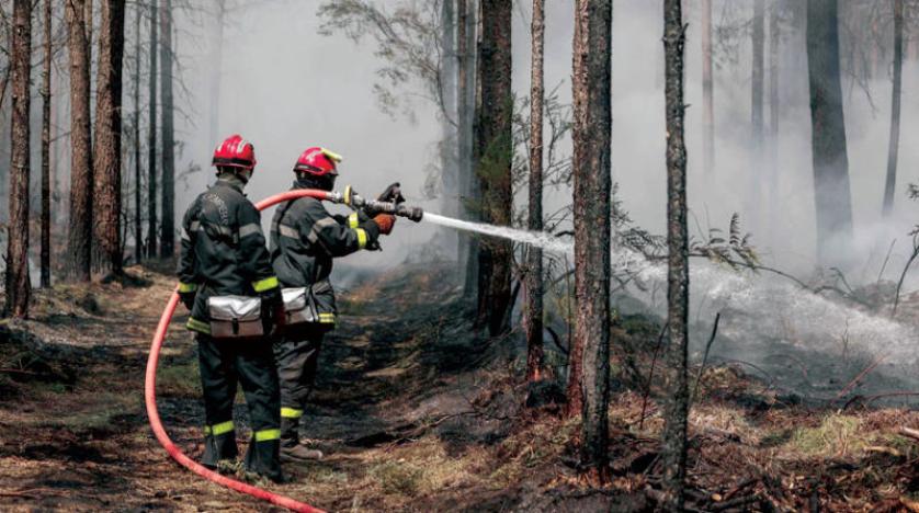 Wildfire