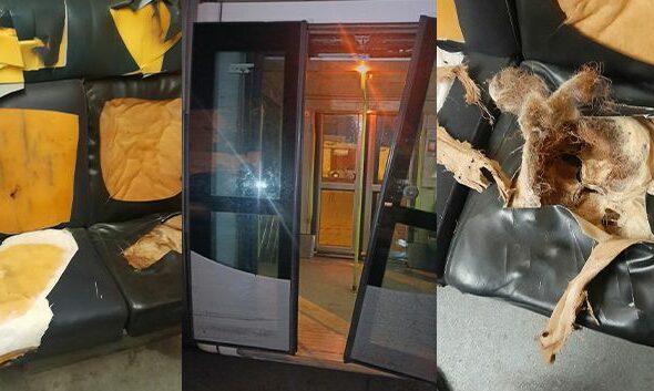 francais_image2_283807_1761895589