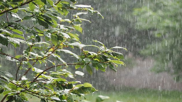 اليوم-أمطار-متفرقة-بهذه-المناطق-والحرارة-تصل-إلى-33-درجة