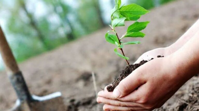 1762428715665-a9a2e0bf67d2