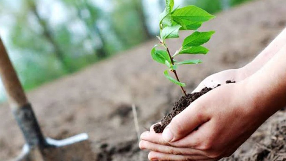 1762428715665-a9a2e0bf67d2