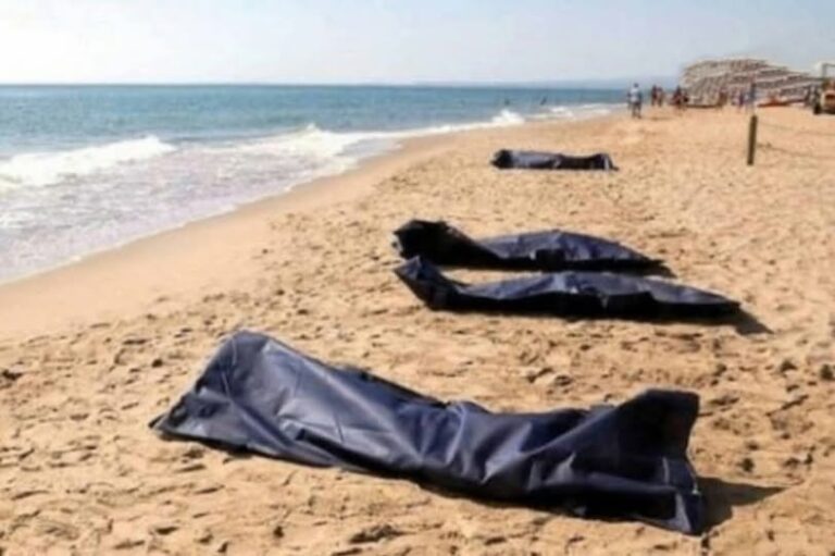 580850028_1147899510879403_2526837976994617380_n