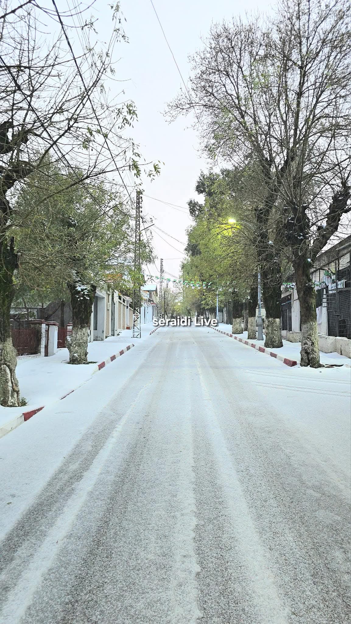 FB_IMG_1763801373443