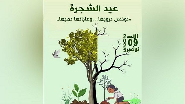 francais_image2_284265_1762681400