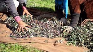 iqqqqqqqqqqqqqqqqqqqqqqqqqqq