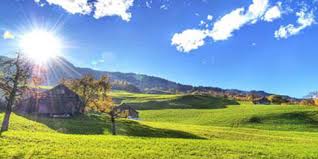 téléchargement (1)