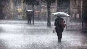 téléchargement (2)