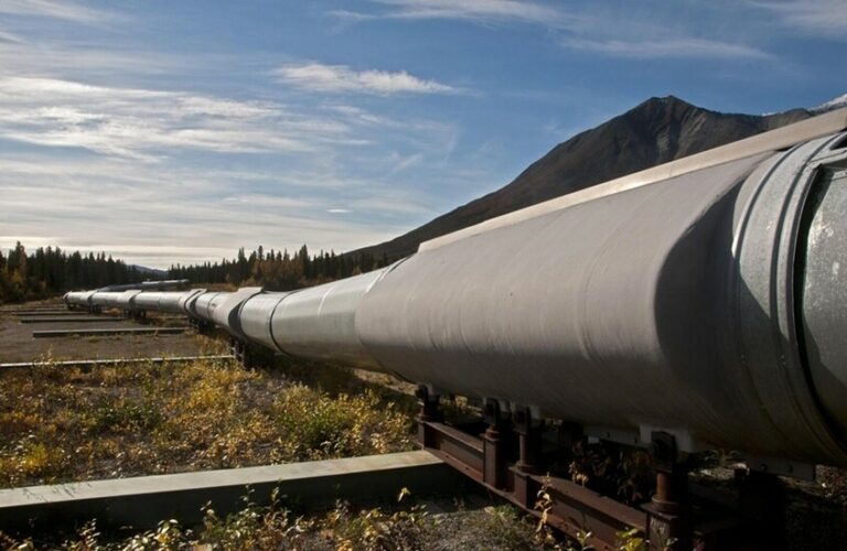 69337cd14c59b7465e3f23e6 (1)