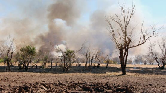 79241d7d-d97e-449f-b767-ca793b1b18e3_16x9_1200x676