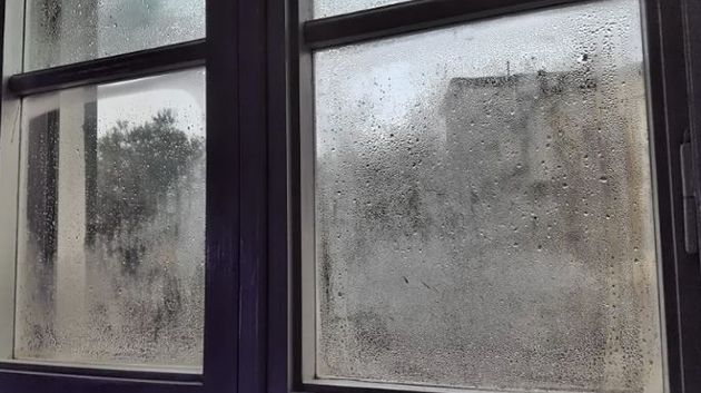 francais_image2_285693_1765348599