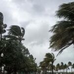 téléchargement (1)