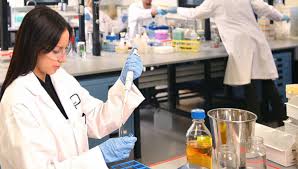 téléchargement (1)