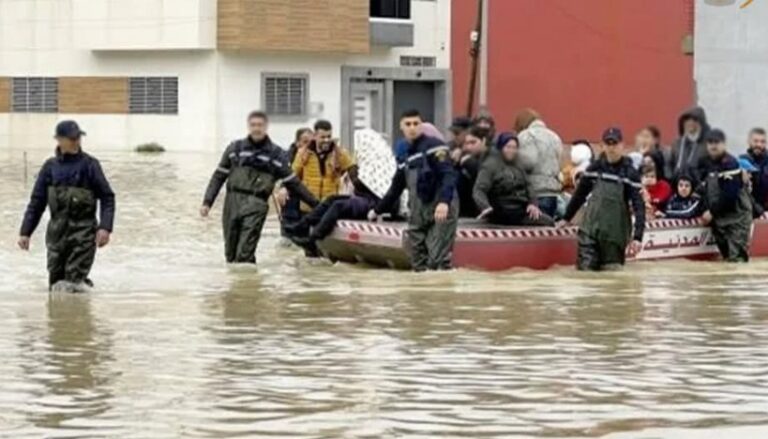 InCollage_20260202_205238662