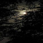 francais_image2_289164_1771703373