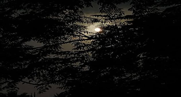 francais_image2_289164_1771703373