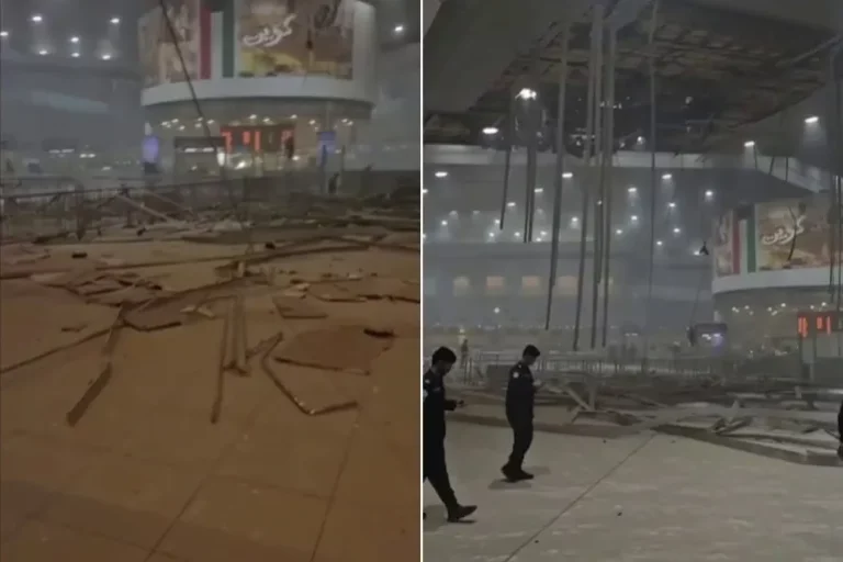 wertg3werfgb-1772292320