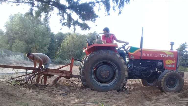 970x546-69bc1a510fbd869bc1a510fbda