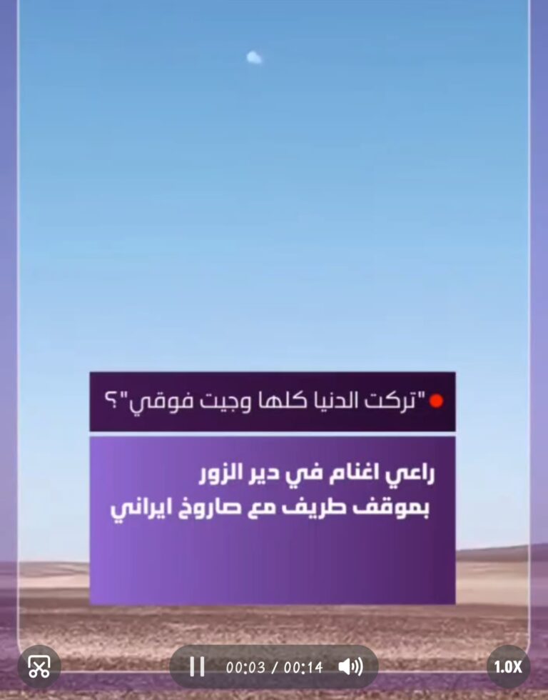 Screenshot_20260303_024348_com_hihonor_photos_GalleryMain_edit_237765954335339