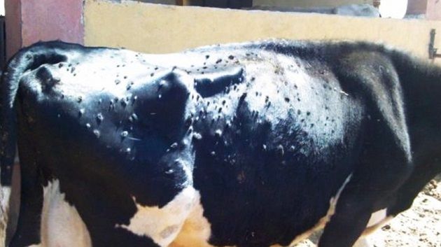 francais_image2_290160_1773400217