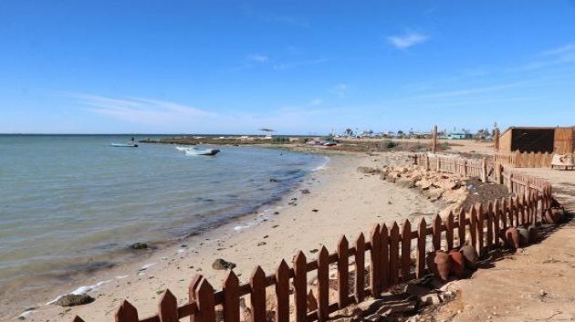 francais_image2_290182_1773427287