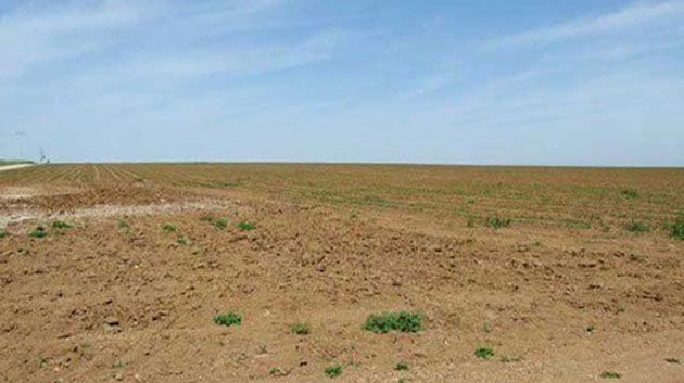 francais_image2_290505_1774021709