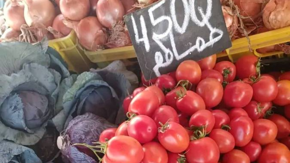 970x546-69e723aa025b169e723aa025b4