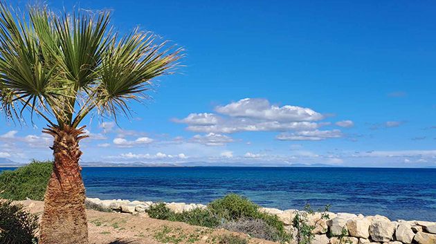 francais_image2_291372_1775543214