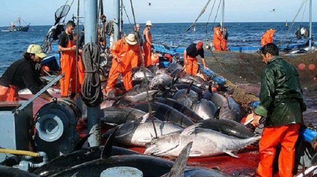 francais_image2_291492_1775680925