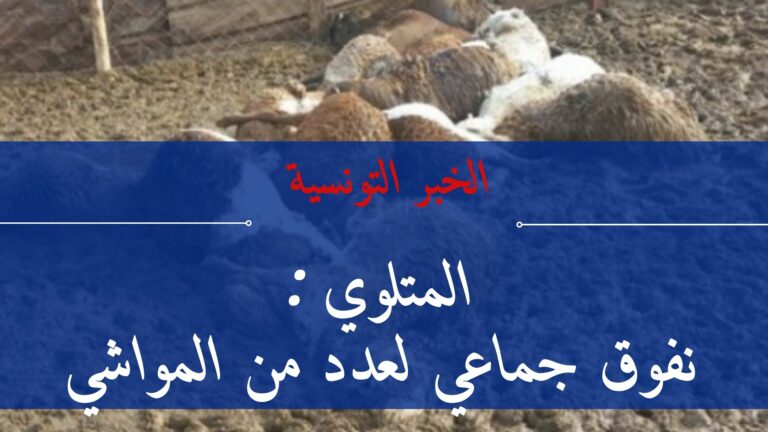 Blue Breaking News YouTube Banner (1)
