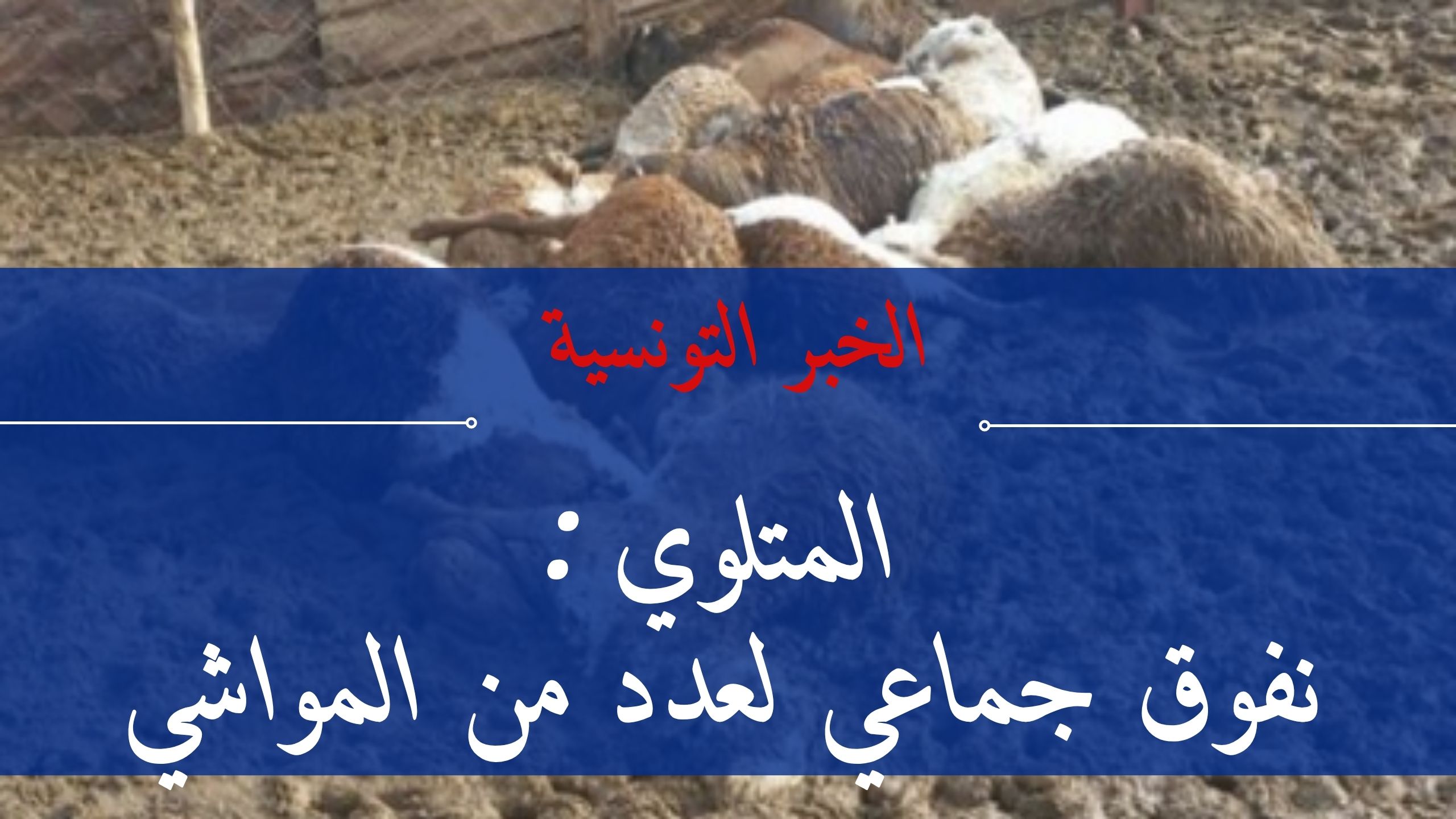 Blue Breaking News YouTube Banner (1)