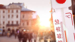 images (4)