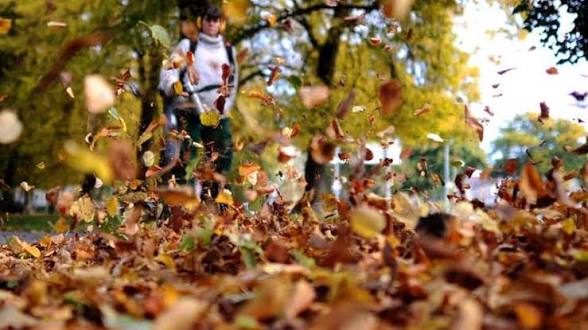 images (24)